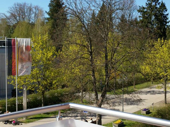 Ferienwohnung für 3 Personen, mit Balkon in Bad Saarow - 3