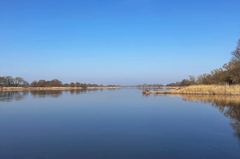 Ganze Wohnung, Mitten im Naturschutzgebiet direkt an der Elbe. Hübsche moderne Ferienwohnung in Dömitz, Ludwigslust-Parchim