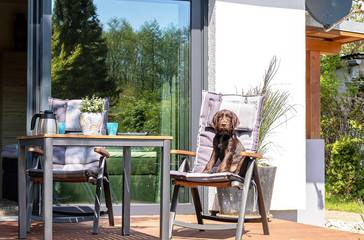 Ferienhaus für 3 Personen in Waren (Müritz), Müritz, Bild 3