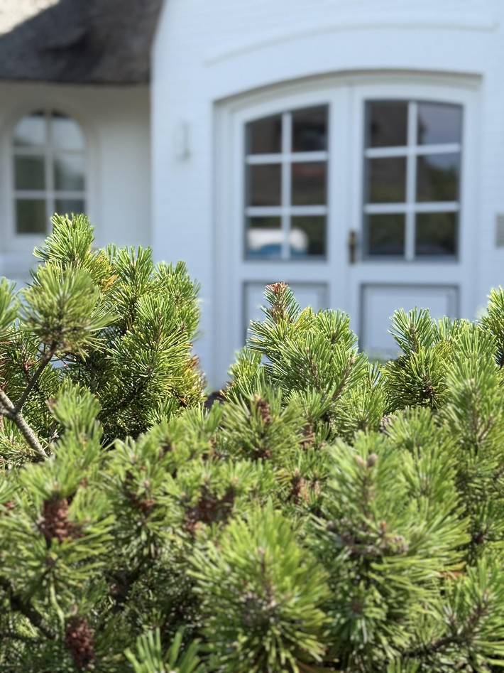 Ferienwohnung für 3 Personen, mit Garten in Rantum - 3