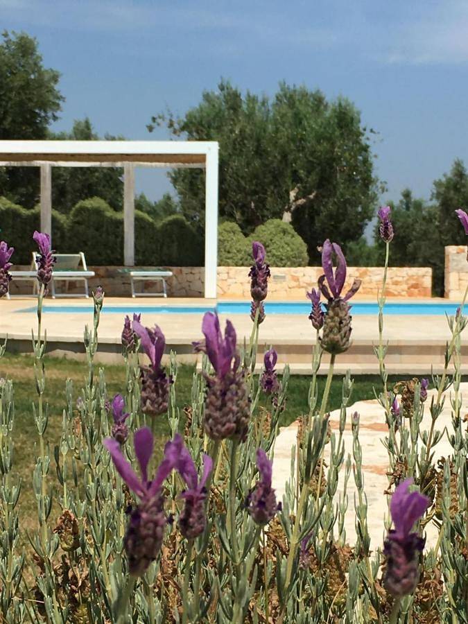 Standard Villa in Rome, Rome Province