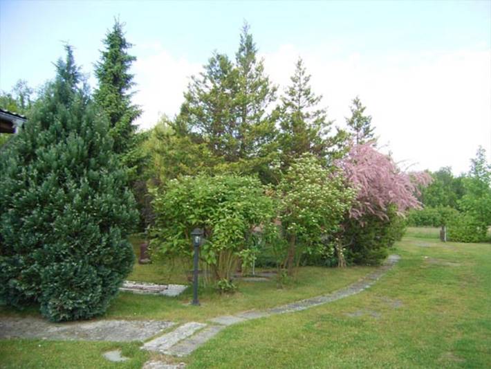 Ganze Ferienwohnung, Ferienbungalow Daniela - Bungalow Daniela in Eggesin, Vorpommern Greifswald