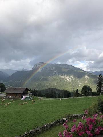 Appartement voor 4 Personen in Diemtigen, Westerse Alpen, Afbeelding 4