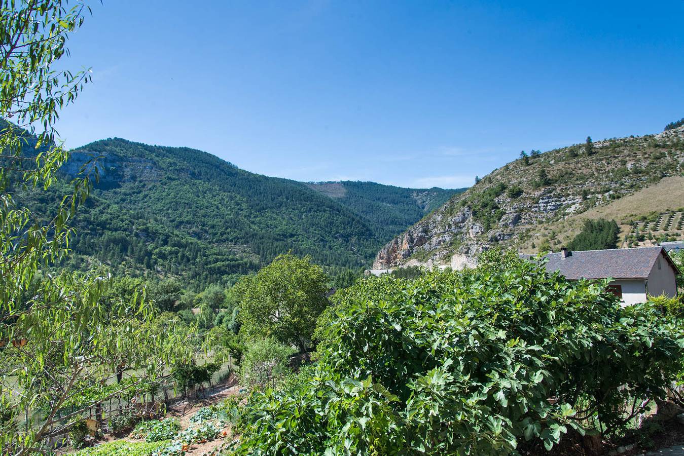 Le Chardon à Blajoux in Quézac, Cevenas