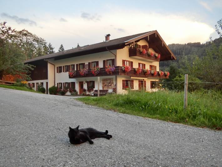 Bauernhof für 4 Personen, mit Balkon in Samerberg