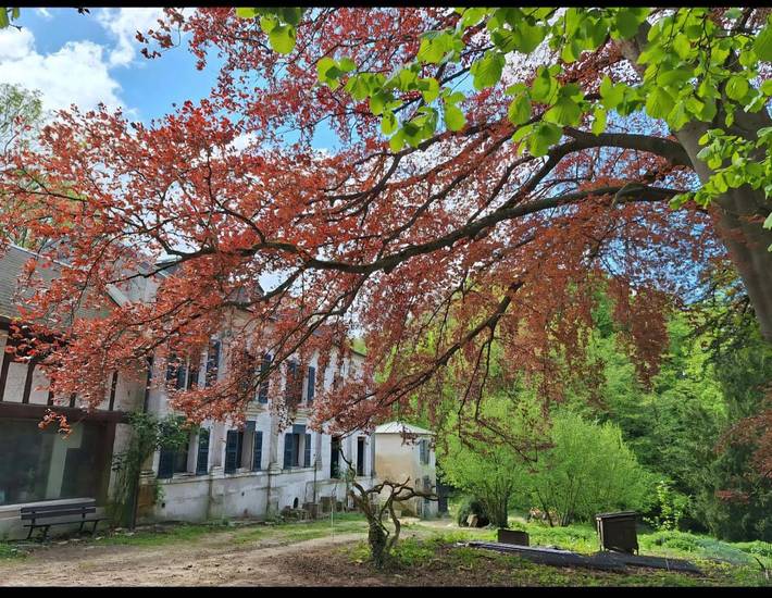 Gîte pour 4 personnes, avec terrasse, animaux acceptés à Bessancourt - 2