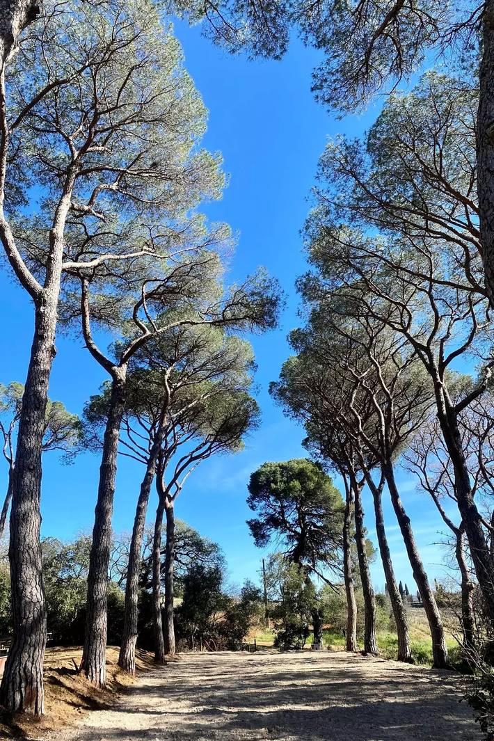 Location de vacances pour 6 personnes, avec jardin à Pézenas - 2