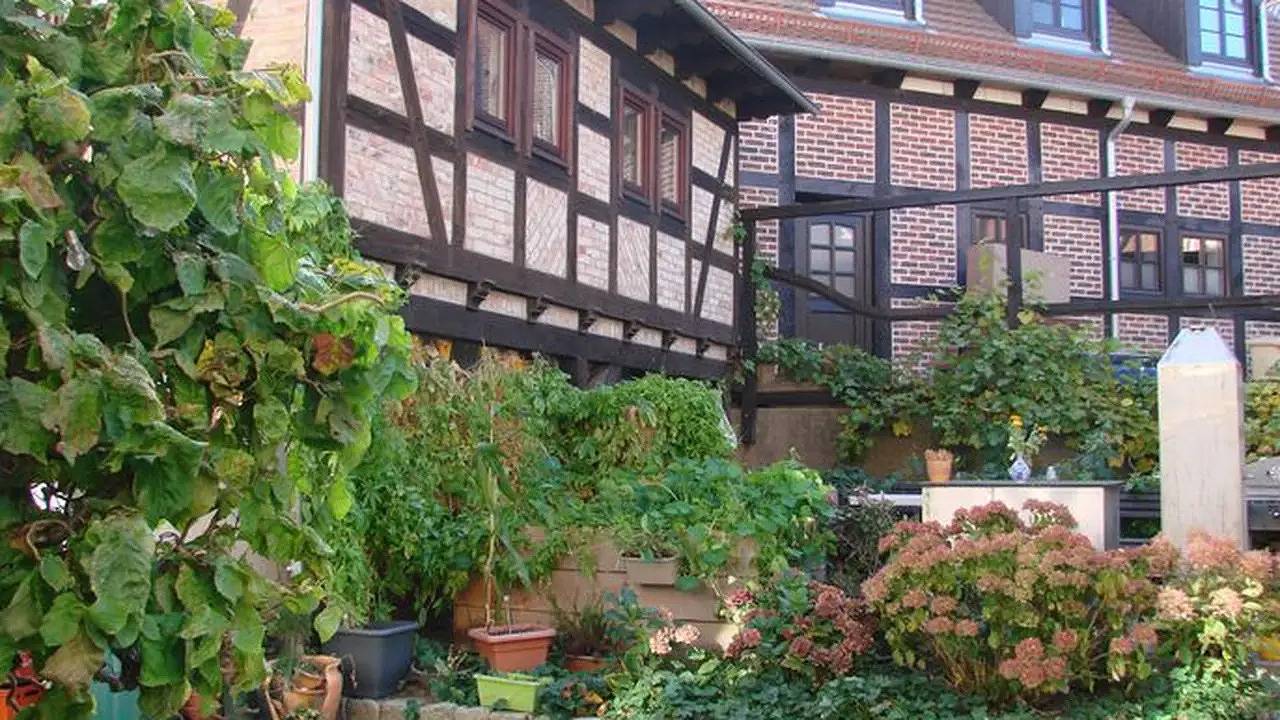 Entire holiday apartment, Ferienwohnung für 3 Personen (40 m²) in Wolgast in Wolgast, Usedomer Norden