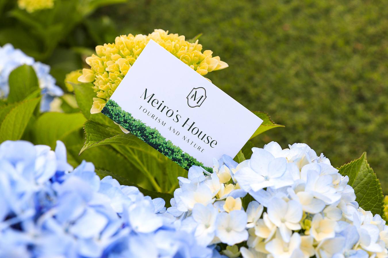Meiro’s House Tourism and Nature in Ferreiros, Prozelo e Besteiros, Braga District