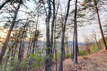Vacation Apartment for 4 Guests in Wears Valley, Sevier County, Picture 1