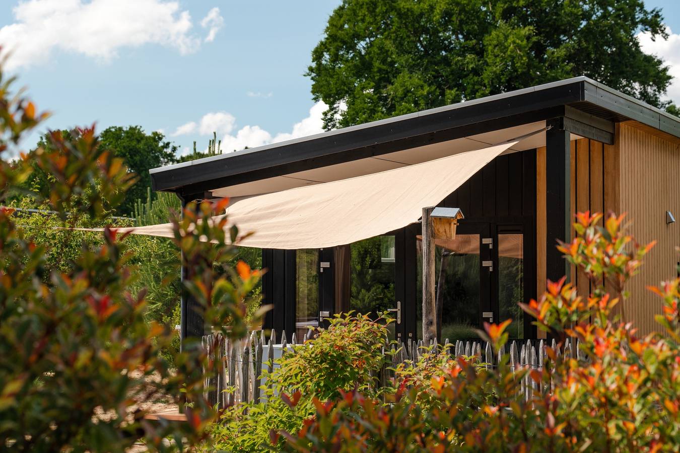 Recreatielandgoed de Ijsvogel — Zand Lodge | 4 Pers. in Veluwe