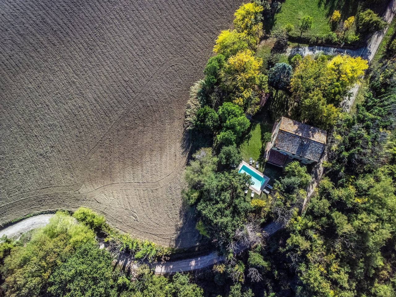 Licht unter den Buchen, Marche Urlaub, privater Pool in Montemaggiore al Metauro, Colli al Metauro