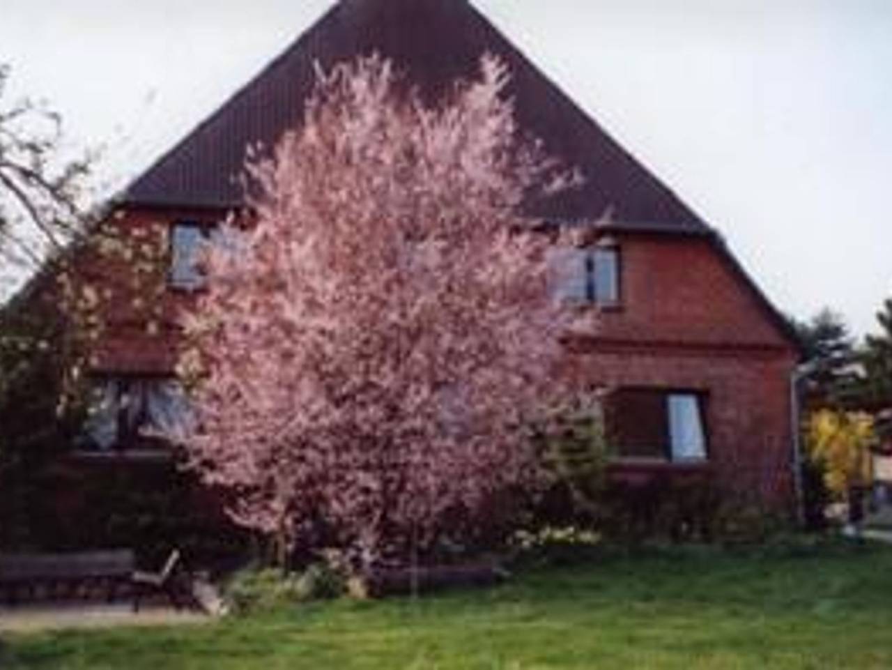 Ganze Ferienwohnung, Hof am See - Variante 1: Ferienwohnung, 1.Og, 1 Wohn-Schlafraum in Kittlitz (Herzogtum Lauenburg), Naturpark Lauenburgische Seen