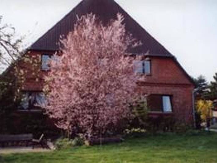 Ferienwohnung für 4 Personen, mit Terrasse, mit Haustier in Naturpark Lauenburgische Seen