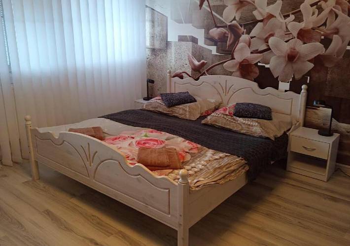Pension voor 2 personen, met balkon, met huisdier in Tsjechië