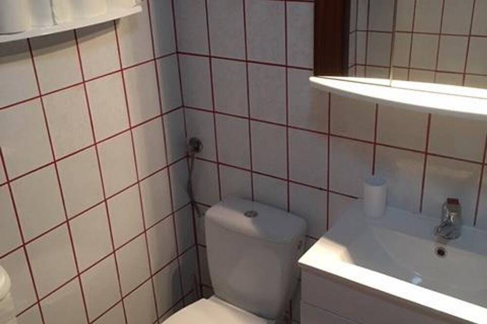 Ganze Wohnung, Friedhelm Meyer-Beer - Appartement/Fewo, Dusche, Wc, Wohn-/Schlafraum in Bendorf, Mittelrhein