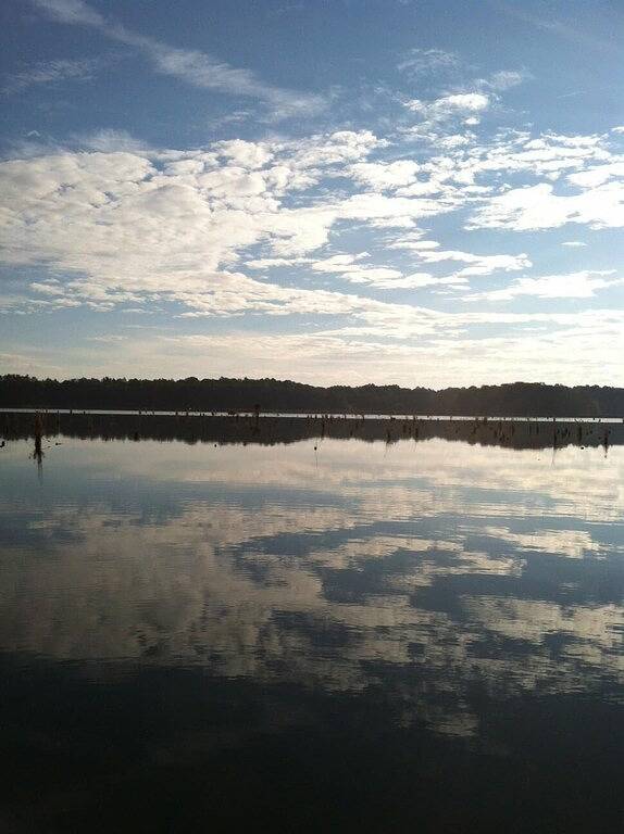 Great Creek Lage für Angler, Reisende, Jäger und Familien! in Georgia