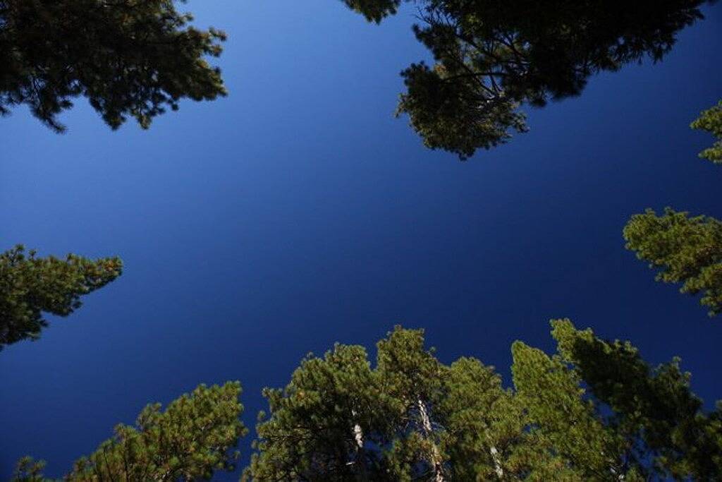 River View Yosemite Kabine im Wawona unter den Redwoods, 3 Schlafzimmer, 2 Bäder, springen rock! in Wawona, Mariposa County