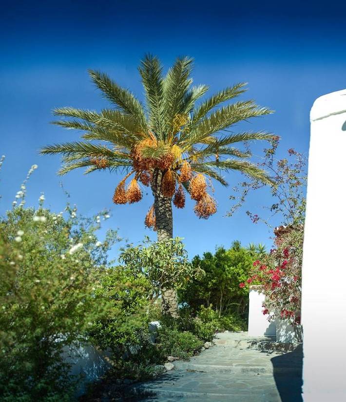 Casa rural para 8 personas, con Terraza y Jardín además de Piscina y Vistas en San Miguel de Balansat - 4