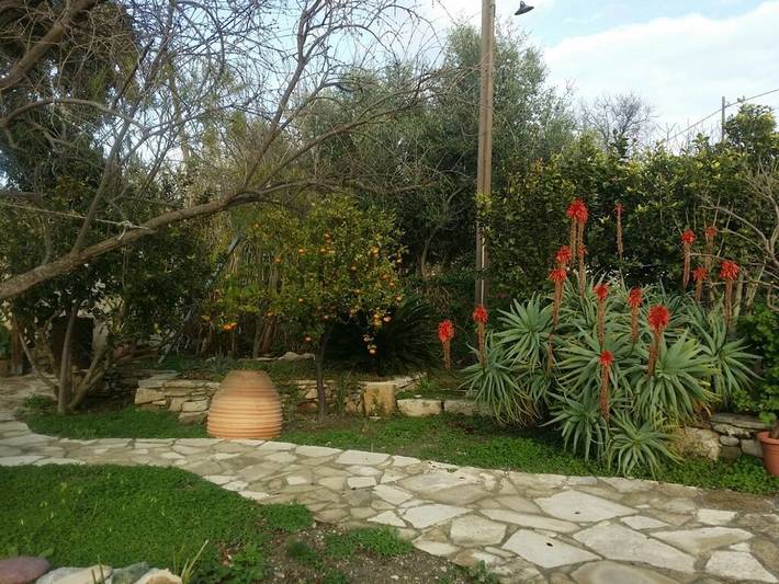 Location de vacances pour 5 personnes, avec terrasse et jardin, animaux acceptés dans Matala - 2