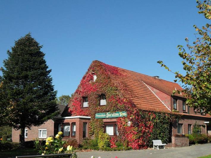 Ferienwohnung für 4 Personen, mit Garten und Terrasse, kinderfreundlich in Dornumergrode - 2
