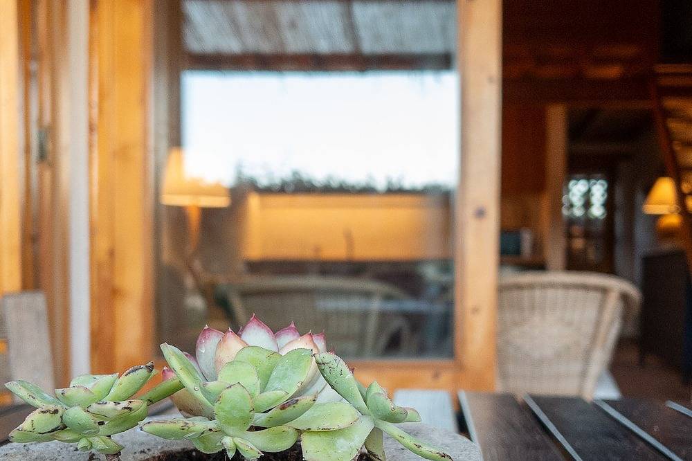 Carrapateira Beach Cottage in Bordeira, Naturpark Südwest-Alentejo und Costa Vicentina