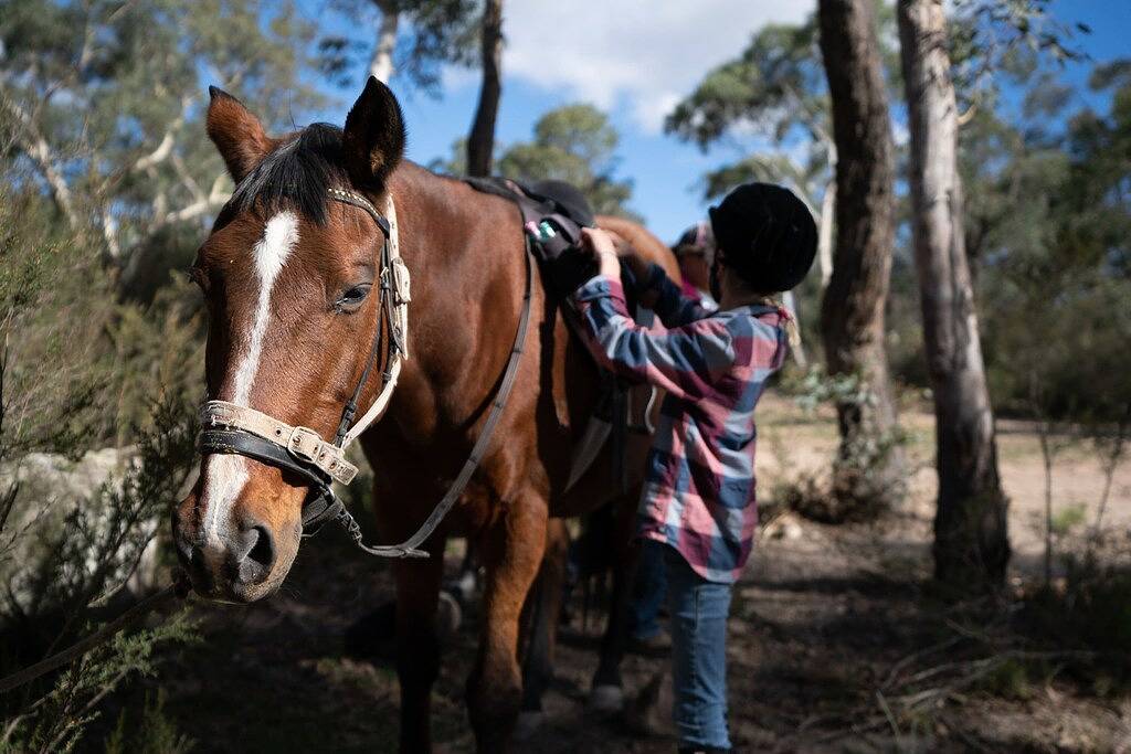The Saddle Camp Tiny House 1 in New South Wales
