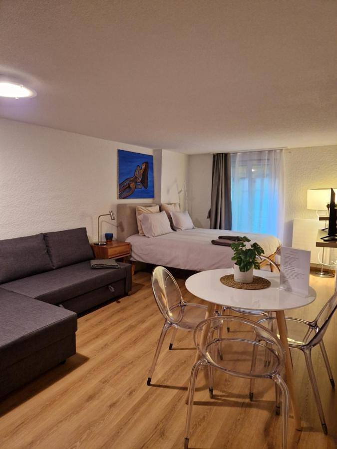 Gîte pour 4 personnes à Lausanne - 3