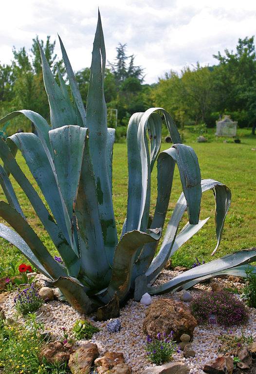 Les Petites Mirabelles - Chambre Voyage exotique in Noyers-sur-Cher, Région de Romorantin-Lanthenay