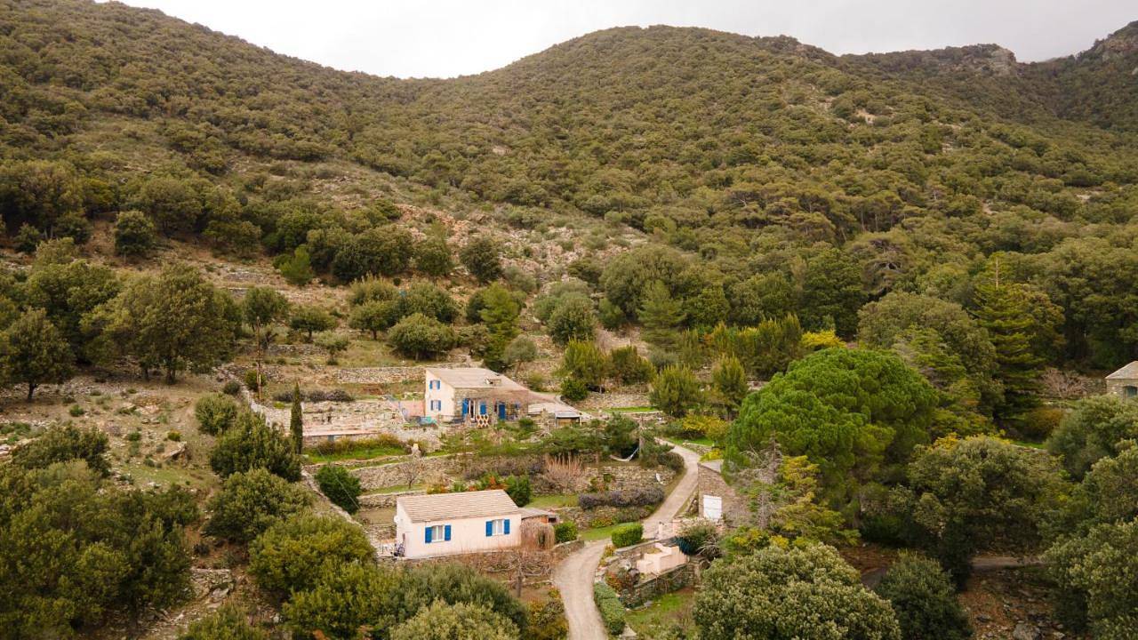 Les Terrasses du Maquis in Nonza, Cap Corse