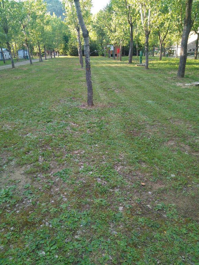 Camping pour 3 personnes, avec piscine ainsi que vue et jardin, animaux acceptés dans Aragon (Espagne) - 4