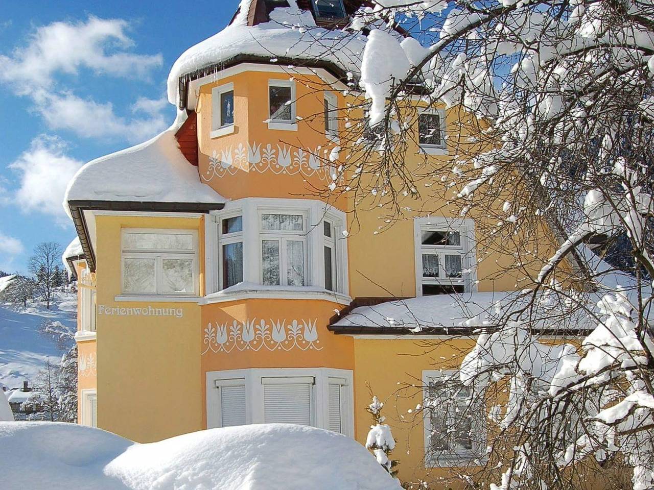 Ganze Wohnung, Apartment 'Waldschlössli' mit Bergblick, Balkon und Wlan in Suedlicher Schwarzwald, Todtmoos