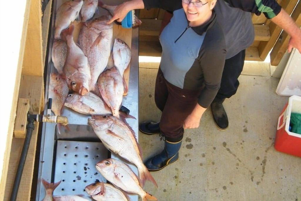 Ganze Wohnung, Luxus-Apartment mit eigenen Terrassen in Northland