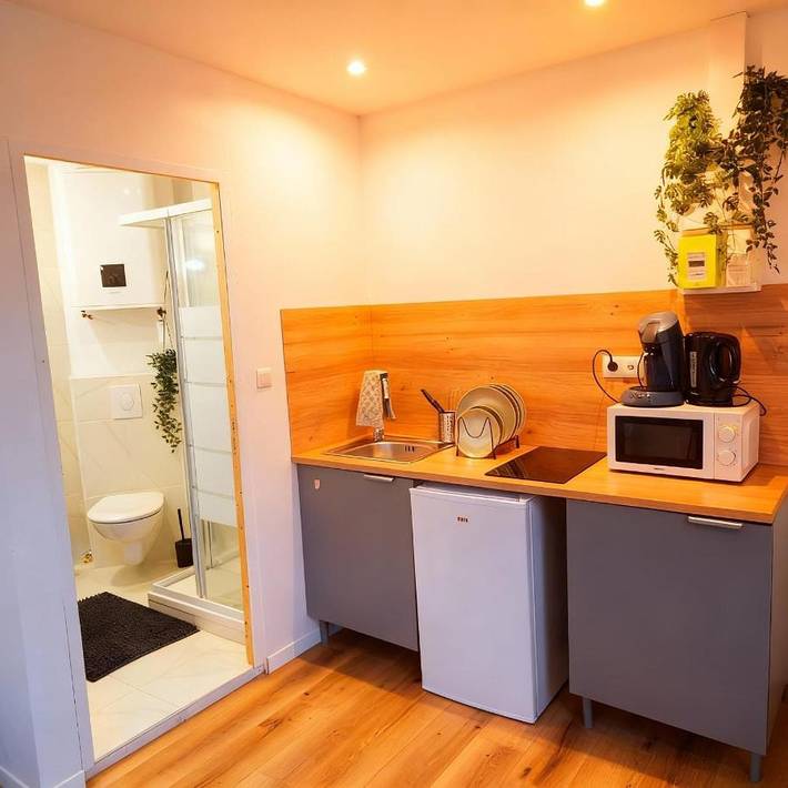 Gîte pour 2 personnes à Eckbolsheim - 4