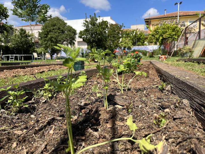 Casa rural para 3 personas, con vistas además de piscina y jardín, Se admiten mascotas en Provincia de Valencia - 4