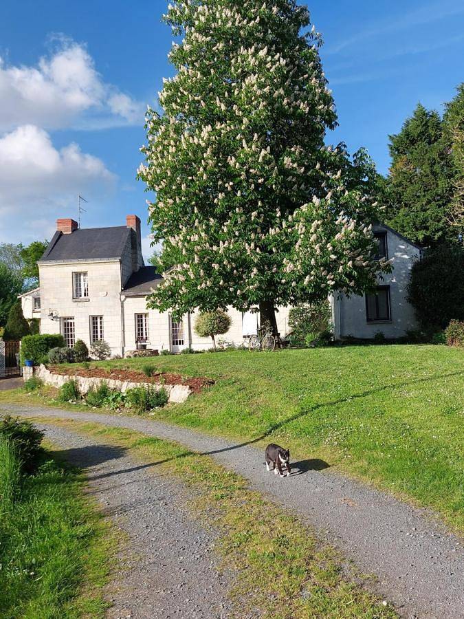 Maison d’hôte pour 2 personnes, avec Terrasse et Jardin ainsi que Piscine et Vue