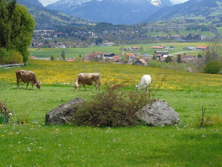 Hütte für 3 Personen, mit Garten und Balkon in den Allgäuer Alpen - 4