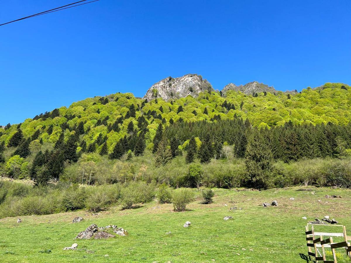 Grande caravane avec auvent au milieu du parc naturel des Pyrénées in Pic du Midi, Sers