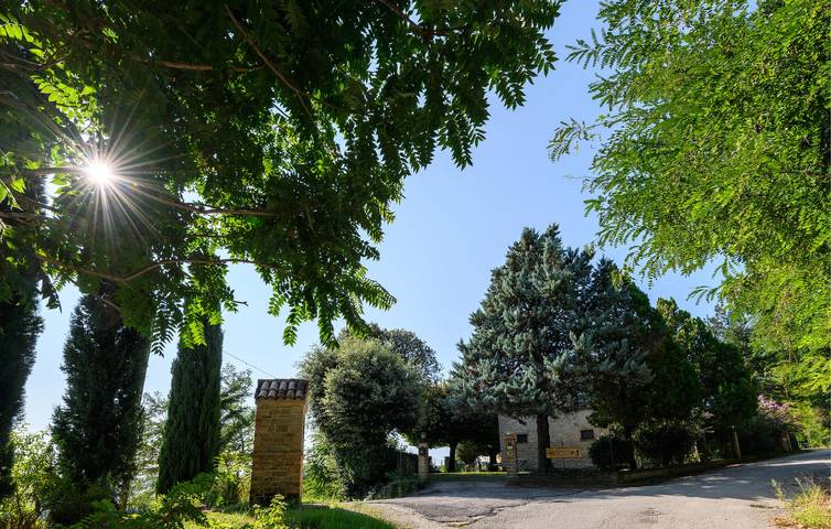 Ferienhaus für 12 Personen, mit Garten und Pool sowie Terrasse