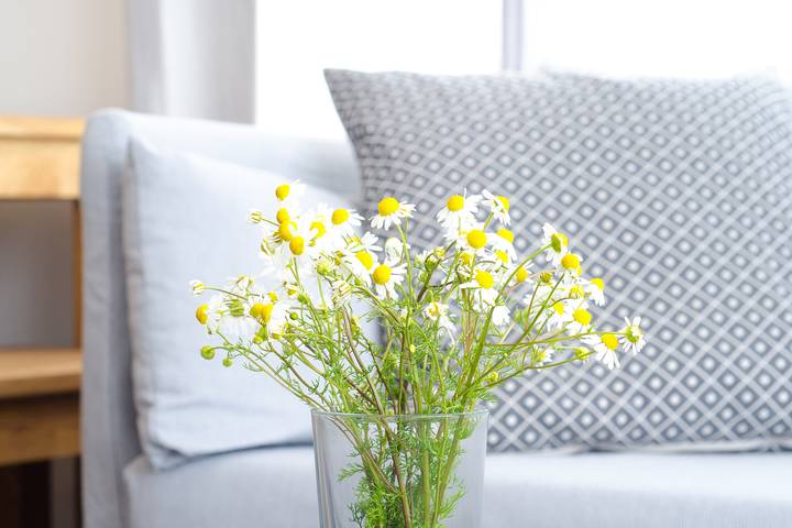 Ferienwohnung für 4 Personen, mit Terrasse und Garten in Noer - 3