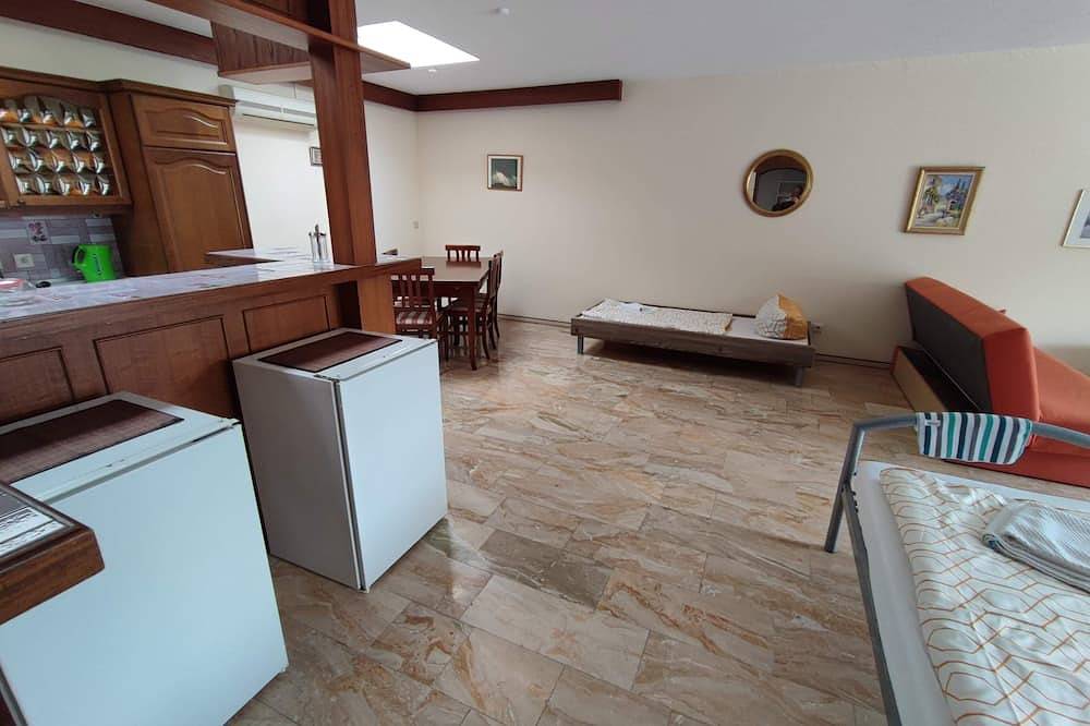 Ganze Wohnung, Penthouse - 2-Zimmer mit Klimaanlage und Terrasse in Rastatt, Nordschwarzwald