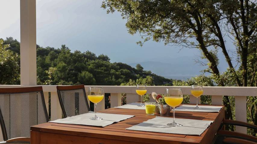Ferienhaus für 5 Personen, mit Ausblick und Terrasse, mit Haustier - 1