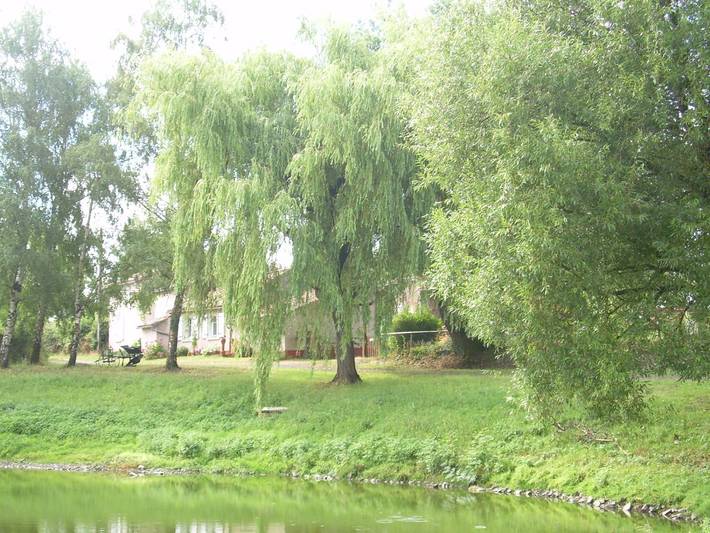 Gîte pour 2 personnes, avec jardin