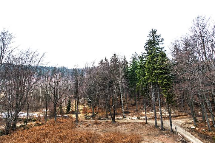 Gîte pour 3 personnes à Szklarska Poręba - 4