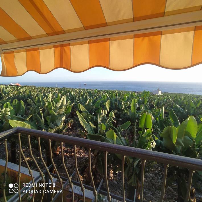 Ferienwohnung für 4 Personen, mit Meerblick und Balkon/Terrasse sowie Ausblick in Tazacorte - 2