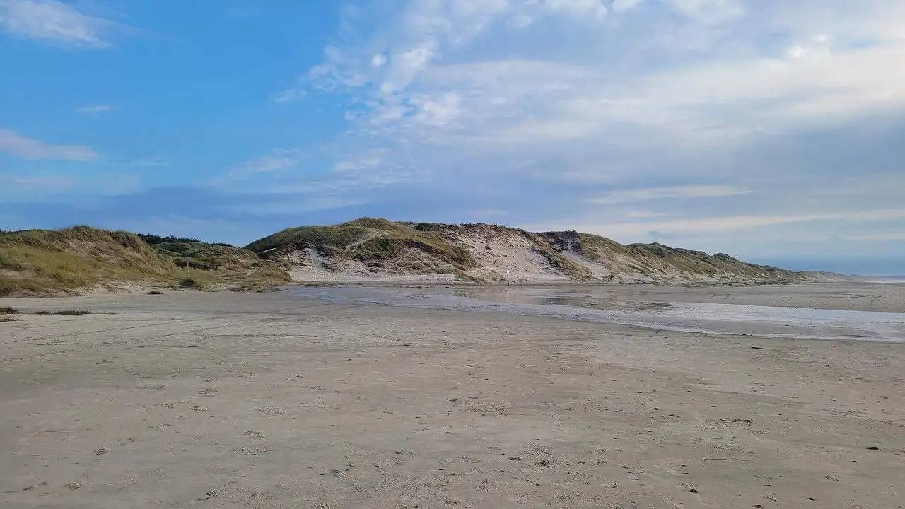 Ferienhaus für 8 Personen (123 m²) in Hirtshals in Hirtshals region, Tannisbucht