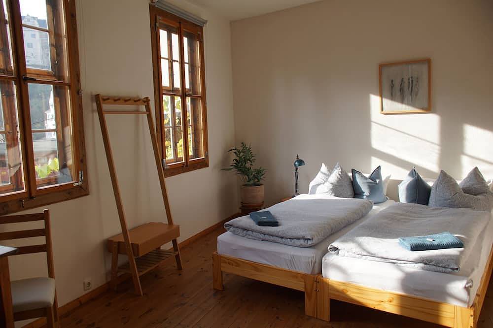 Ganze Wohnung, Studio Schlossblick, eigenes Bad außerhalb des Zimmers, Garten, Sauna in Greiz, Region Greiz