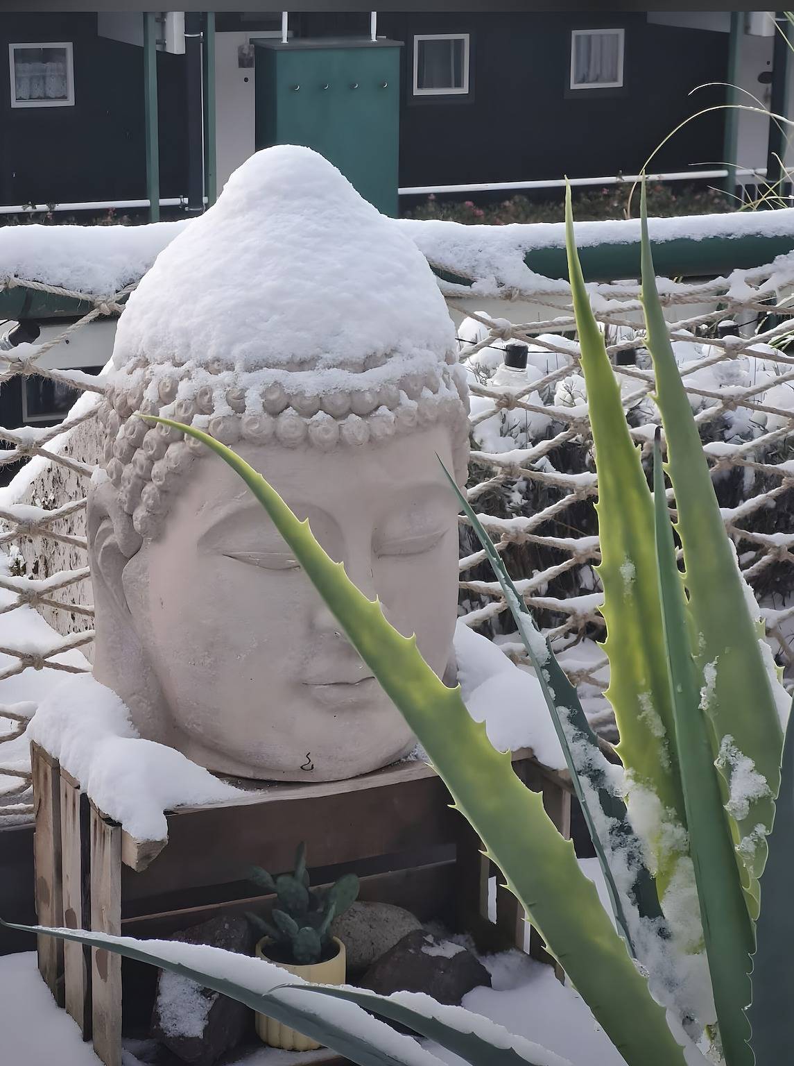 Ganze Wohnung, 'Schwarzwaldlodge Zeitlos' mit Bergblick, privater Terrasse und Wlan in Sasbachwalden, Mittlerer Schwarzwald