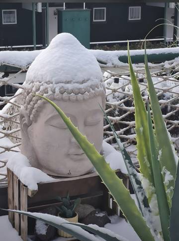Casa Rural Con Piscina para 3 Personas en Sasbachwalden, Selva Negra Central, Foto 3