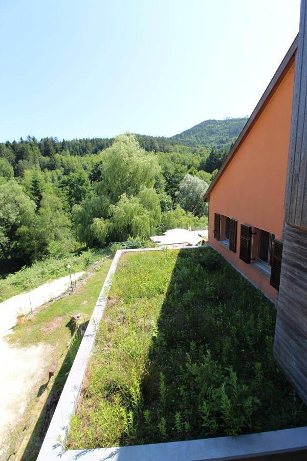 Location de vacances pour 18 personnes, avec jardin et terrasse ainsi que piscine et sauna à Moyenmoutier - 3